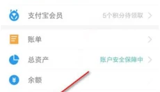 支付宝 截图