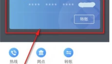 支付宝 截图