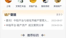 中拍平台 截图