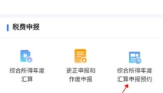 个人所得税app 截图