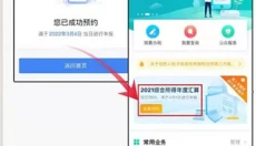 个人所得税app 截图