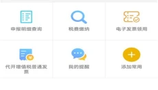 河北税务app 截图