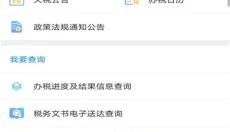 河北税务app 截图