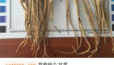 珍药材 截图