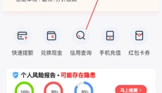 玖富万卡 截图