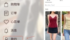 BrandyMelville 截图