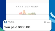 paypal 截图