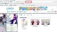 p站 截图