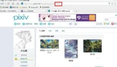 p站 截图