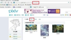 p站 截图