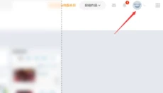 p站 截图