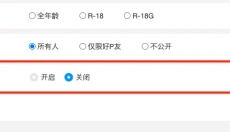 p站 截图