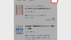 p站 截图