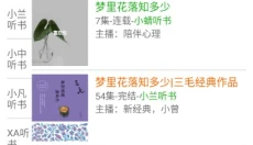 飞鸟听书官方版 截图