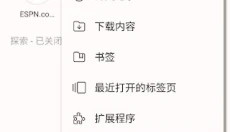 Kiwi Browser 截图