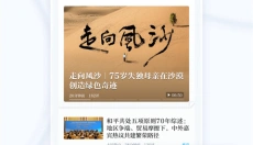 澎湃新闻 截图