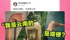 皮皮虾免费版 截图