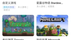 贝锐蒲公英联机 截图