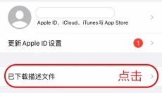agefans 截图