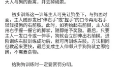 动物翻译器手机版 截图