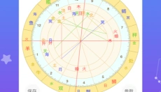 星盘说app 截图