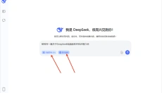 deepseek 截图