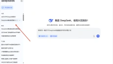 deepseek 截图