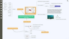 Mindomo Desktop 截图