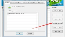 VeryPdf PDF Batch Print GUI 截图