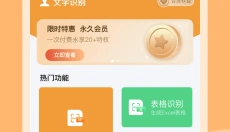 文字识别工作台 截图