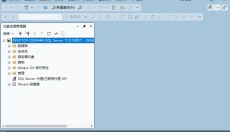 SQL Server 2025 截图