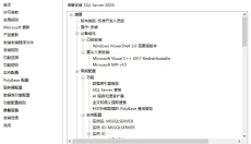 SQL Server 2025 截图