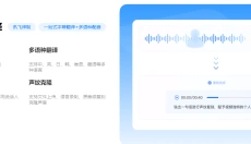 讯飞翻译电脑版 截图