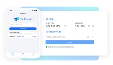 todesk 截图