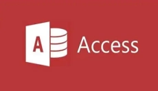 access2010数据库引擎 截图