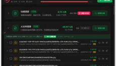 LightC 截图