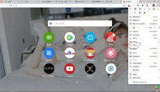 AdGuard插件 截图