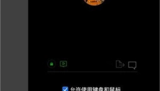 AnyDesk 截图