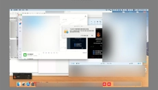 AnyDesk 截图