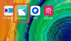 kiwi浏览器 截图