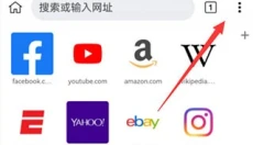 kiwi浏览器 截图