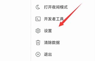 kiwi浏览器