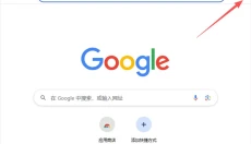Chrome浏览器 截图