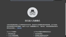 Chrome浏览器 截图