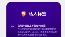 Brave浏览器 截图
