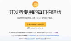 谷歌浏览器 截图