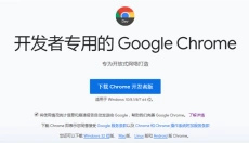 谷歌浏览器 截图
