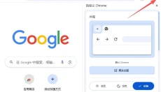 谷歌浏览器 截图