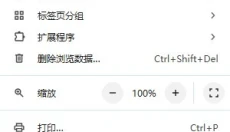 谷歌浏览器 截图