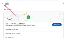 谷歌浏览器 截图